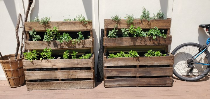 Pallets recycled into Garden Planter Boxes